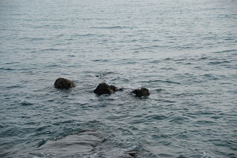 無法掌控命運，就掌控內(nèi)心