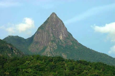 樂東雨林中國最美，卻對華全發電機組鐘愛有加