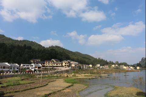 意欲觀山賞百花！華全沼氣發(fā)電機劍指“小桂林”