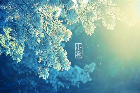 昨日小雪！凜冽寒風中華全機組展現市場熱度