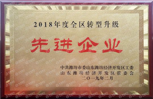 華全集團被評為濰坊2018年度全區(qū)轉(zhuǎn)型升級先進企業(yè)