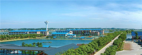 專業(yè)巡檢，熱心服務(wù)!華全發(fā)電機(jī)組助力養(yǎng)殖企業(yè)溫暖過(guò)冬!